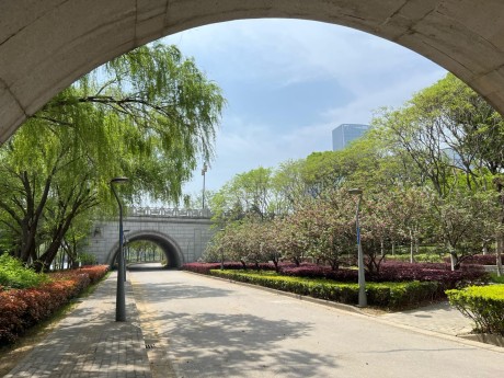 Wuxi 11