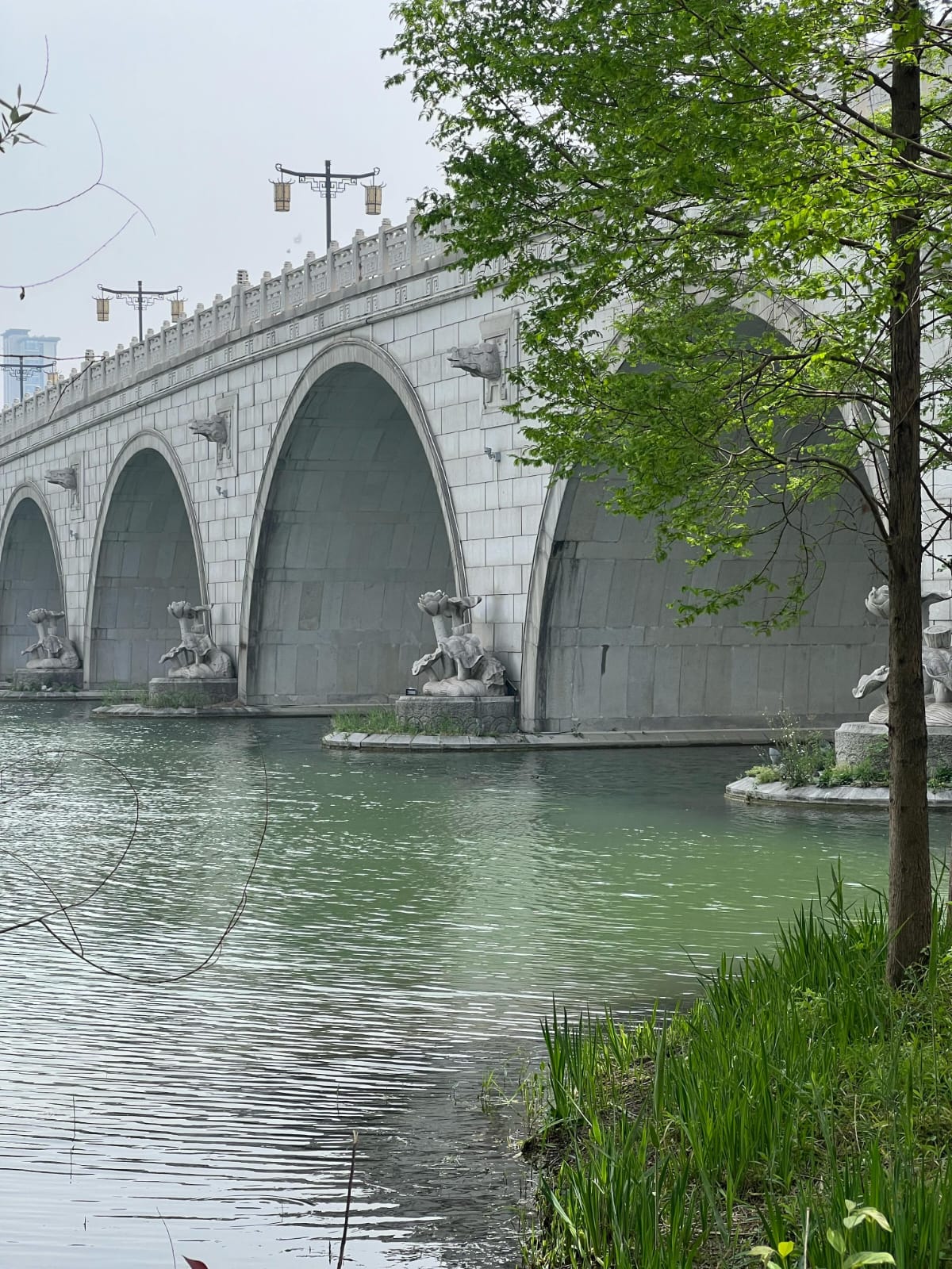 Wuxi 12